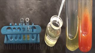 Phytochemical Test of Alkaloid  Qualitative Estimation of Alkaloid  Alkaloid Test अल्कालॉयड टेस्ट [upl. by Arac74]