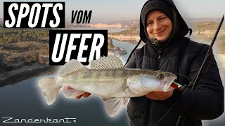 Angeln vom Ufer SO fängst du Zander und Barsche am Stausee ohne Boot [upl. by Refannej]