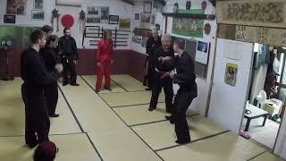 Ninjutsu Japan training Gyokko Ryu with Ishizuka Sensei [upl. by Kcor961]