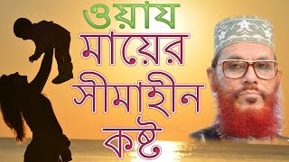 New Waz Mahfil  Ma er Semahin Kosto by Delwar Hossain Sayeedi [upl. by Marlene]