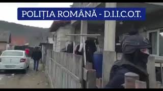 Interventie a DIICOT la traficanti de droguri din Iasi [upl. by Kline]