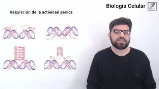 58 Biología Celular La transcripción del ADN paso a paso [upl. by Marianne]