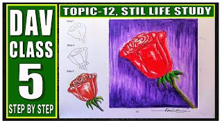 DAV CLASS 5  LESSON 12  STEP BY STEP  STILL LIFE STUDY  DAV  dav school  dav school class 5 [upl. by Noinatrad35]