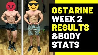 OSTARINE CYCLE PRE CYCLE STATS BEFORE AND AFTER [upl. by Narej]