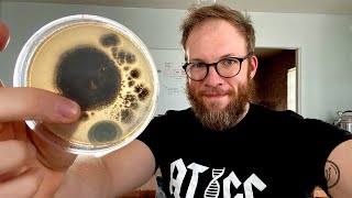 Genetic Engineering of Fungi Plasmids 101 [upl. by Ivett501]