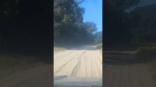 The dirt  sand roads of eastern shore Virginia  Northampton County  october2024 dirtroad [upl. by Ansilme364]