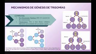 TRISOMÍAS 13 18 Y 21 SÍNDROMES KLINEFELTER Y TURNER [upl. by Llevaj]