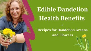 Edible Dandelion Health Benefits  Recipes for Dandelion Greens and Flowers [upl. by Akoyn]