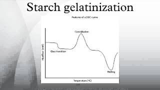 Starch gelatinization [upl. by Fanchan338]