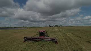 Flax Harvest 2024 [upl. by Mot]