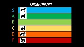 The Dog Tier List [upl. by Lirpa157]