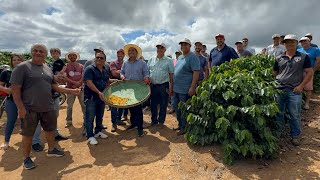 AGRODIA DE CAMPO NOVAS CULTIVARES DE CAFÉ ARÁBICA [upl. by Nothsa]