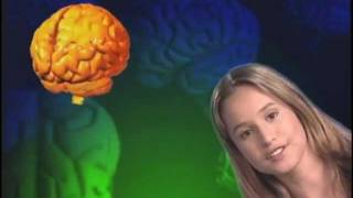 Getting Stupid How Drugs Damage your Brain [upl. by Terr]