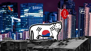 South Korea is in a Hidden Crisis [upl. by Nnaeirual]