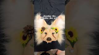 Fennec fox mask For sale therian theirangear alterhuman animalmask forsale furry [upl. by Negem]