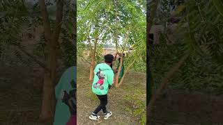 Met khon met Dak jorok tin song santali love newsong viralvideo [upl. by Amhsirak313]