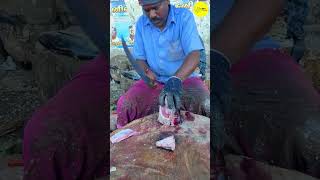 KASIMEDU SEKAR FISH CUTTING VIDEO  cutting focus bigfishcutting bigfish kasimedufish shorts [upl. by Freudberg]