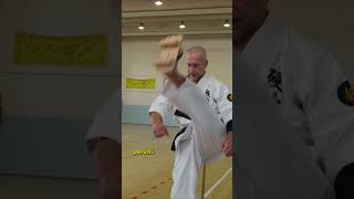 Le ciabatte giapponesi usate per allenare il karate [upl. by Denise]