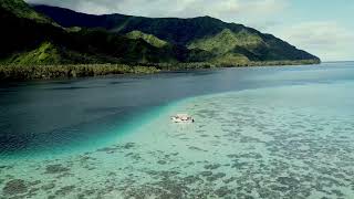 Relaxing ocean waves 🌊 stress relief anxiety relief calm beach 🏖️ [upl. by Farleigh]