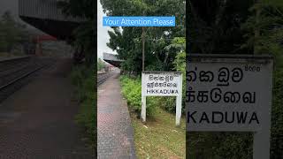 Train Life explore travelvlog traincinematic travel railway indianrailways train hikkaduwa [upl. by Mayyahk]