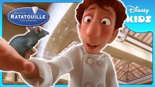 RATATOUILLE Clip  quotRemy Making Soupquot 2007 [upl. by Nyladgam]