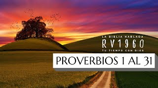 Proverbios Completo RV1960 Sabiduría para la vida  La Biblia Hablada [upl. by Nuarb248]