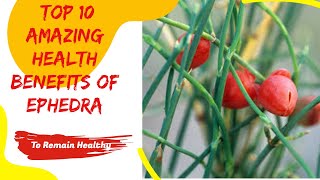 Top 10 Amazing Health Benefits Of Ephedra [upl. by Standley]