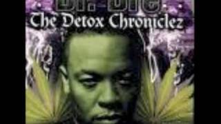 DrDre Detox Beats [upl. by Besse]