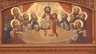 St Mark Coptic Orthodox Church Live Stream [upl. by Lerrud184]