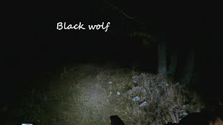 MTB  Black wolf Lupo trail in notturna [upl. by Aihpos]