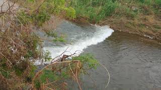 Golpe del río de Guayanilla PR [upl. by Ettenej]