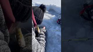 Ice fishing kind of fun [upl. by Niwdla]