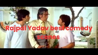 Rajpal Yadav comedy scenes [upl. by Peppie924]