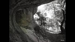 Laiguier du Jas du Pin  bergerie troglodytique Combe de Coste Brune le Luberon secret Vaucluse [upl. by Chryste]