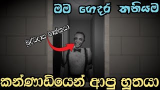 කන්ණාඩියෙන් ආපු අමුත්තා  Mirrormirror sinhala full gameplay [upl. by Rehpotsirhcnhoj]