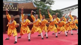 Shaolin Kungfu Masters [upl. by Stone]