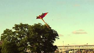 Flight Of The Dragon Kite [upl. by Zullo]