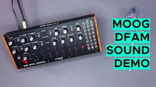 Moog DFAM Sound Demo no talking Techno and Ambient [upl. by Jarlathus7]