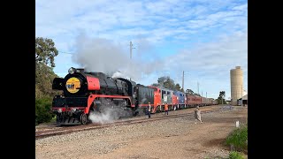 Steam and streamliners on freight and heritage trains 13823 [upl. by Nicolis]