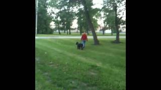 Angry Dog Walker Cudahy Wisconsin [upl. by Intyre]