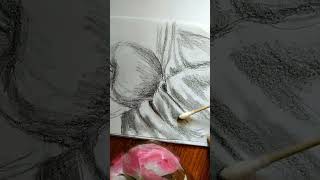 Drapery drawing  apple still life drawingdrawing shortsfeed shortsvideo shorts [upl. by Roti270]