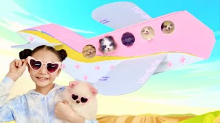 Airplane  Bugs Puppies Vacation Trip  Little Big Toys [upl. by Ativoj]