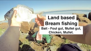 BREAM FISHING basics land based with bait Australia [upl. by Nagrom]