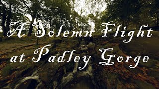 A Solemn FPV Drone Journey Through Padley Gorge [upl. by Uos]