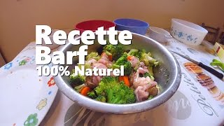 Ma première recette de BARF pour chien  100 naturel [upl. by Eneg]