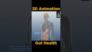 3D Animation How bacteria affects our Gut Health medicalanimation 3danimation [upl. by Boys20]