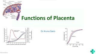 Functions of Placenta amp fetoplacental unit with mcq questionsMBBS First Year Physiology [upl. by Fenella554]