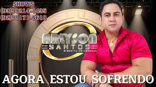 AGORA ESTOU SOFRENDO ARLYSON SANTOS [upl. by Nyra]