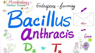 Bacillus anthracis Diagnosis amp Treatment  Microbiology 🧫 and Infectious Diseases 🦠 [upl. by Leeland823]