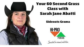 60 Second Grass Class Sideoats Grama [upl. by Leoline]